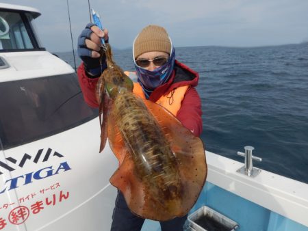 きずなまりん 釣果
