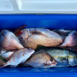 第二八坂丸 釣果