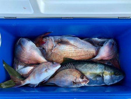 第二八坂丸 釣果