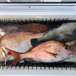 第二八坂丸 釣果