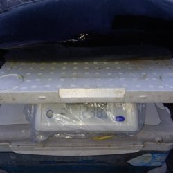 第二龍勢丸 釣果