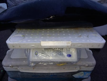 第二龍勢丸 釣果