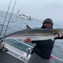 SeaRide(シーライド) 釣果