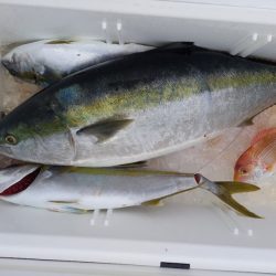 第二龍勢丸 釣果