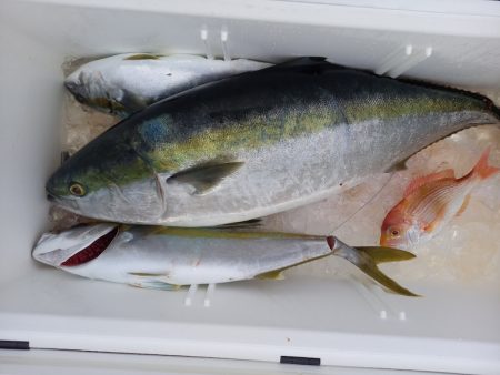 第二龍勢丸 釣果