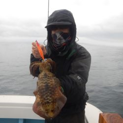 きずなまりん 釣果