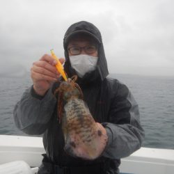 きずなまりん 釣果