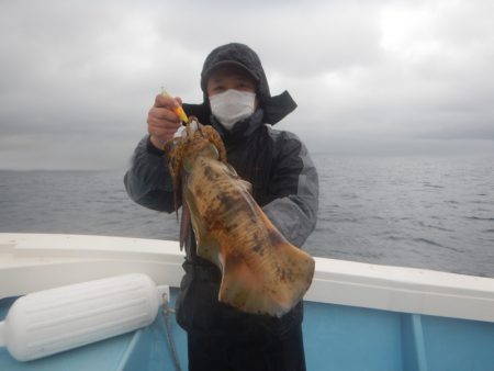 きずなまりん 釣果