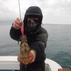 きずなまりん 釣果