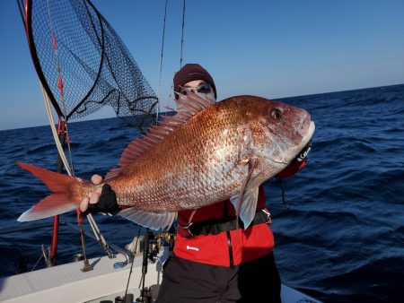 シーライオン 釣果