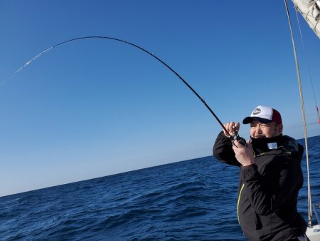 シーライオン 釣果