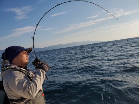 シーライオン 釣果