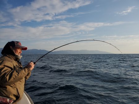 シーライオン 釣果