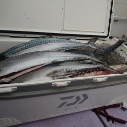 海龍丸（石川） 釣果