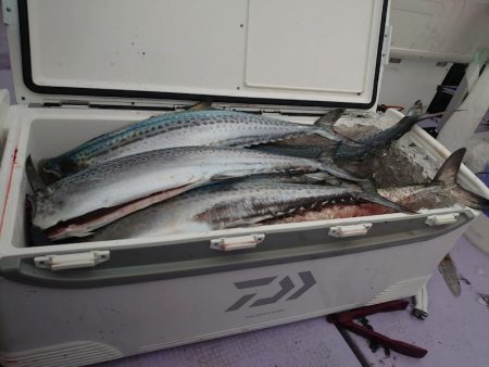 海龍丸（石川） 釣果