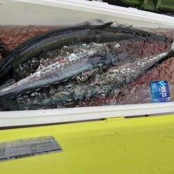 海龍丸（石川） 釣果