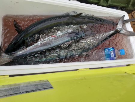 海龍丸（石川） 釣果