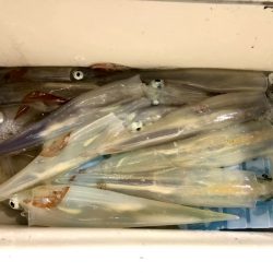 第二八坂丸 釣果