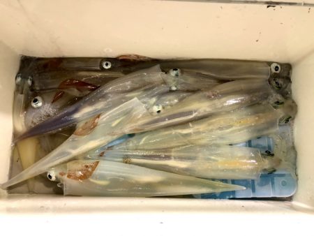 第二八坂丸 釣果