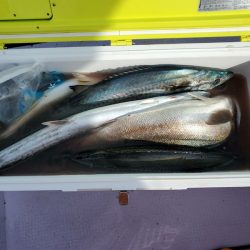 海龍丸（石川） 釣果