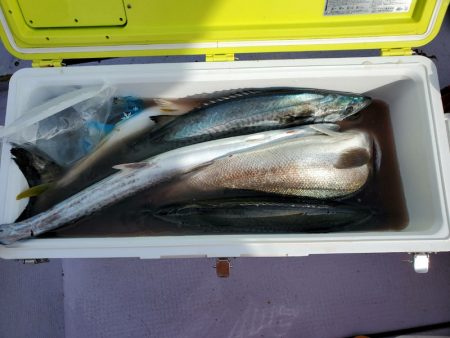 海龍丸（石川） 釣果