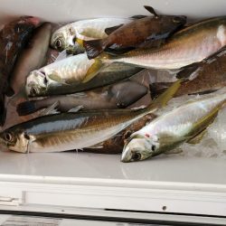 海龍丸(石川) 釣果