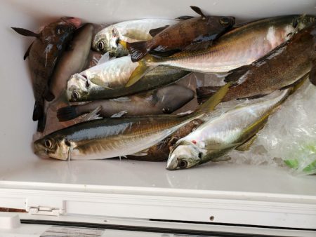 海龍丸(石川) 釣果