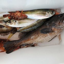 海龍丸(石川) 釣果
