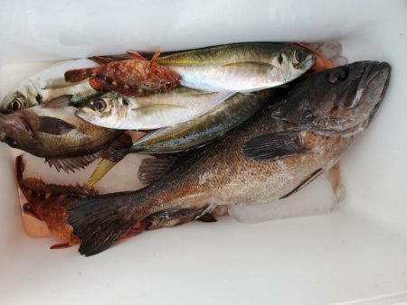 海龍丸(石川) 釣果