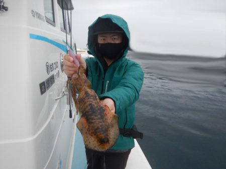 きずなまりん 釣果