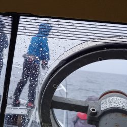 第二龍勢丸 釣果