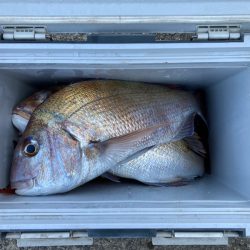 遊漁船高橋 釣果
