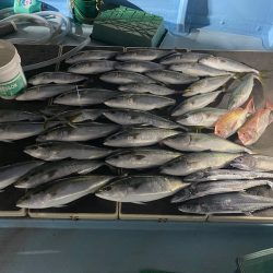 Monster Rush! 釣果