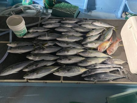 Monster Rush! 釣果