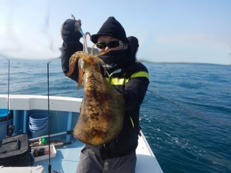 きずなまりん 釣果