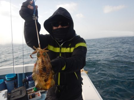 きずなまりん 釣果