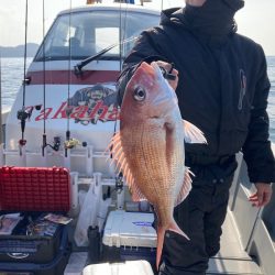 遊漁船高橋 釣果