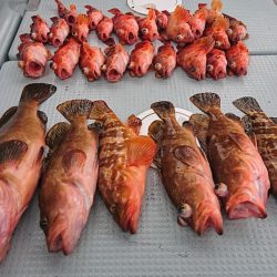 遊漁船 家入 釣果