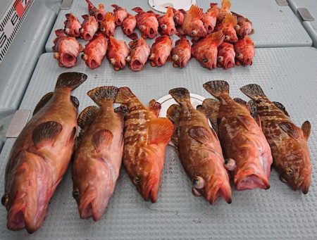 遊漁船 家入 釣果