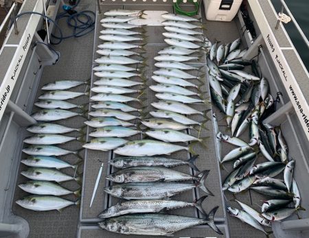 SeaRide(シーライド) 釣果