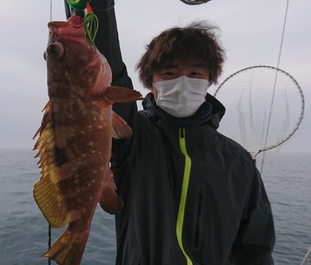 遊漁船 家入 釣果