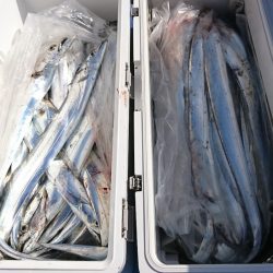 遊漁船 家入 釣果