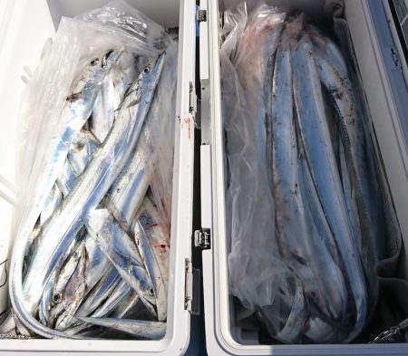 遊漁船 家入 釣果