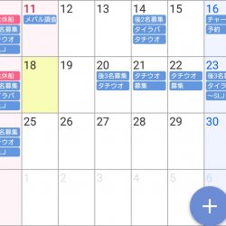 遊漁船 家入 釣果