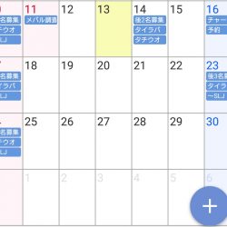 遊漁船 家入 釣果