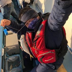 ヤザワ渡船 釣果