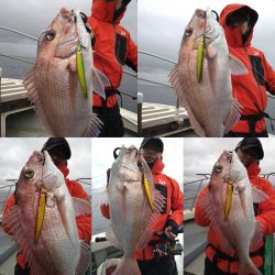 光生丸 釣果