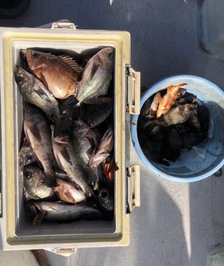 フィッシング　キッタカ 釣果