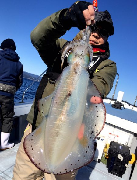 渡船屋たにぐち 釣果