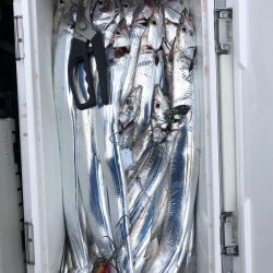 フィッシング　キッタカ 釣果